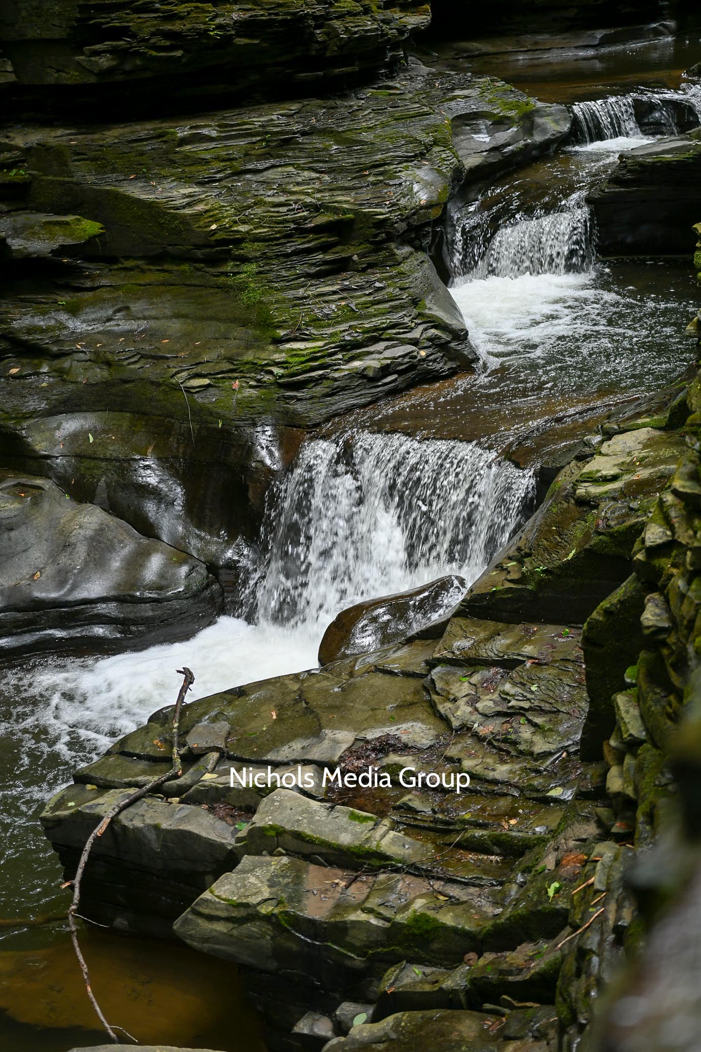 Watkins Glen Print
